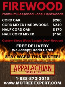 2024 Firewood for Sale - Prices