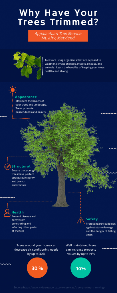 apptreeinfog-410x1024